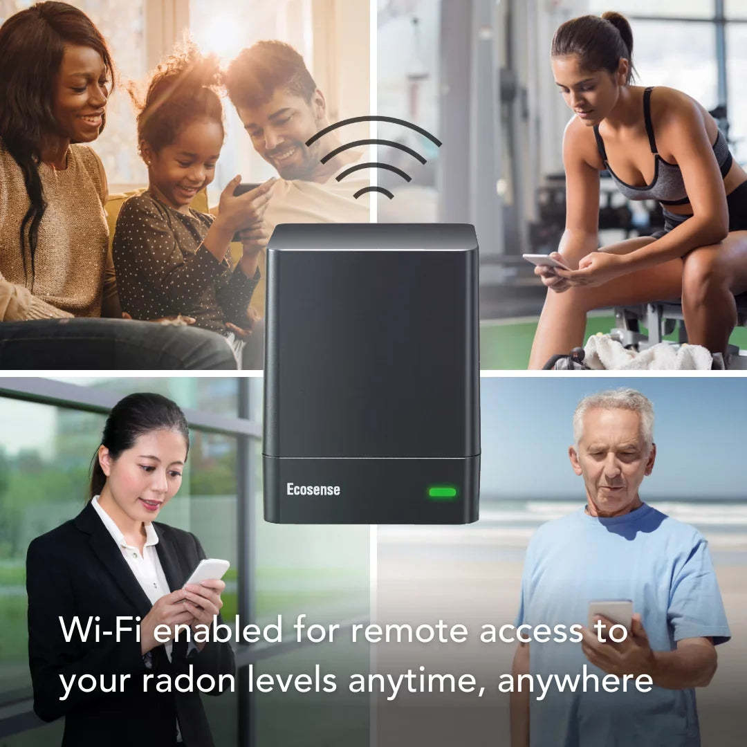 with WiFi, Ecosense Gas Model Radon W and Detector Monitor EcoQube EQ100