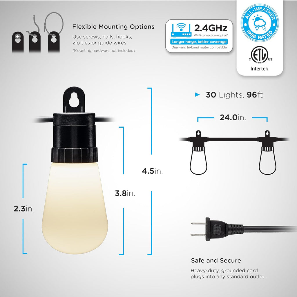 String 96 Lights, Customizable, 79617 Dimmable Wi-Fi Outdoor RGB Lights, Changing App Lightweight 30 Smart Lights, Control, MINGFENG Color Weatherproof, String Patio ft, LED