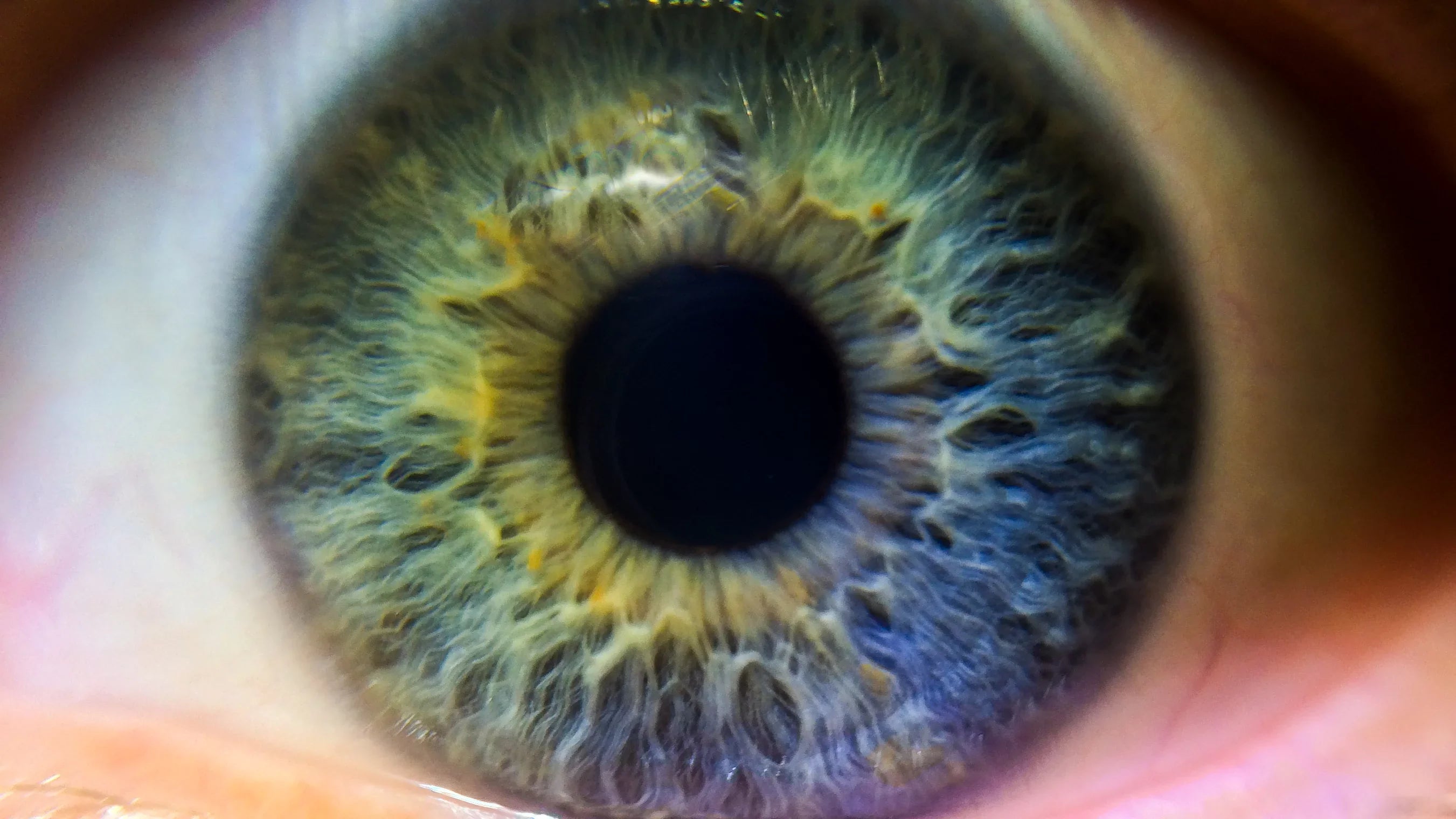 Close-Up II Lens 10x (Macro) Adapter) Canon X G7 Definition 2 Lens Mark (Includes PowerShot High Close-Up Element