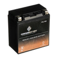 Chrome Cca) Battery 230 Sx Battery Jet Ah, for Kawasaki 12 Volts,14 (16l-bs Ytx16l-bs 87-'95 Ski Js650