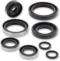 Racing (822264MSE) Oil Complete Seal Kit Engine Moose