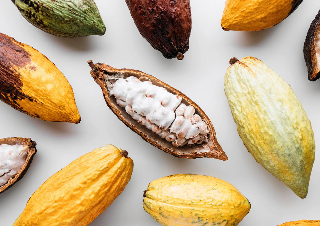 to 14 Cacao — Food by Organic Live Paste, Non-GMO, Kosher, Pounds Raw, — Vegan