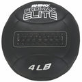 Ball Promax Elite Sports Medicine Rhino 4LB Champion