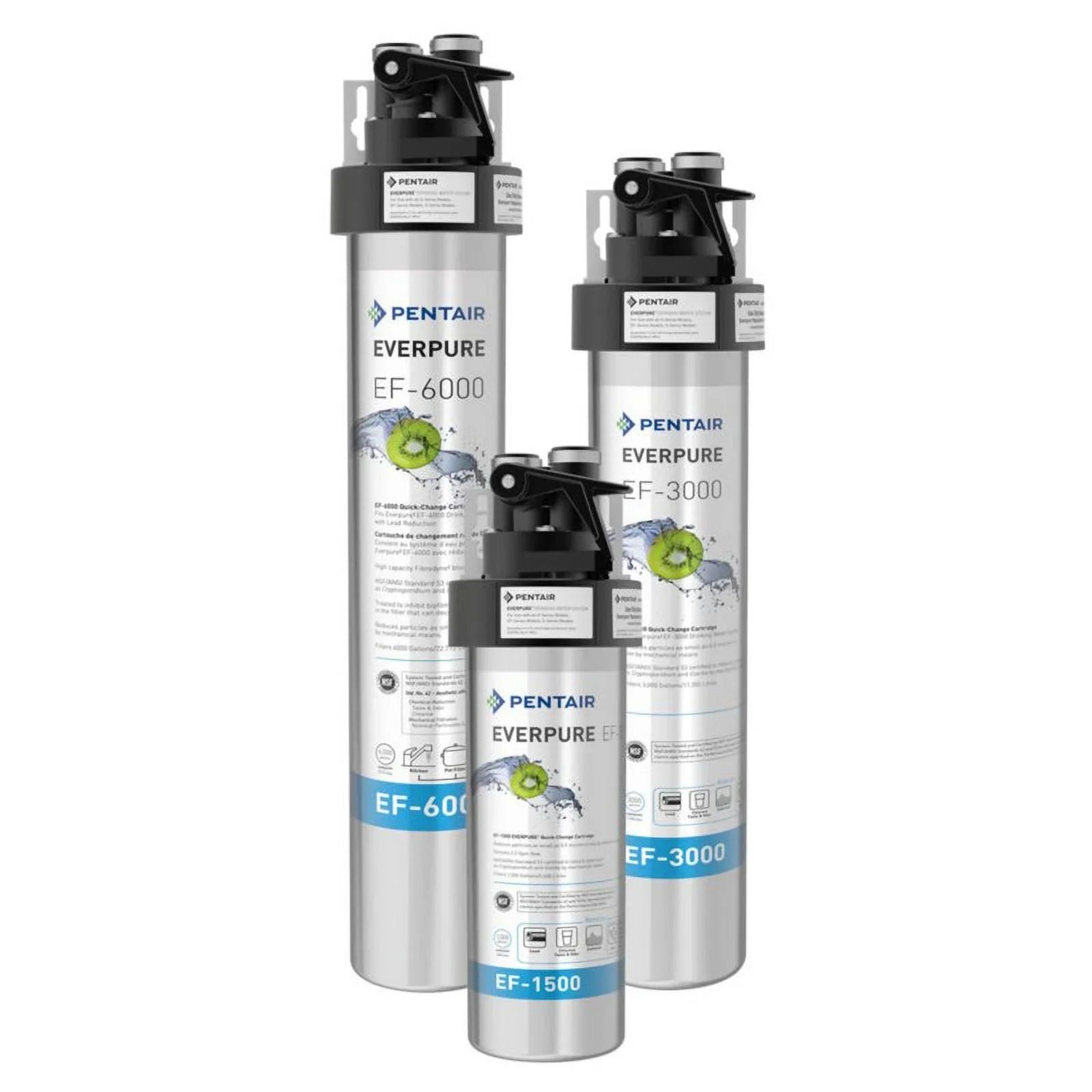 Everpure EF-6000 Drinking Water System