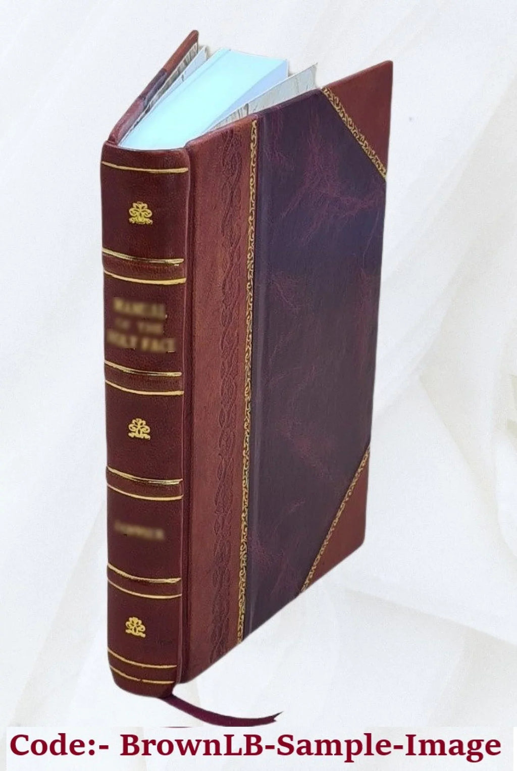 or, gulf the river [Leather on the On The the trail to 1913 Mississippi, Bound] boat motor boys