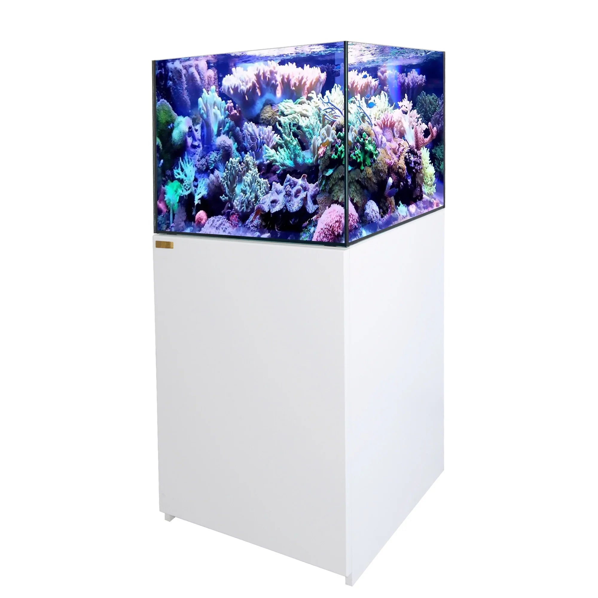 Gallon Clear Built All with Ultra AquaDream White Glass Tank Reef and Sump Coral in Aquarium 90 All-In-One