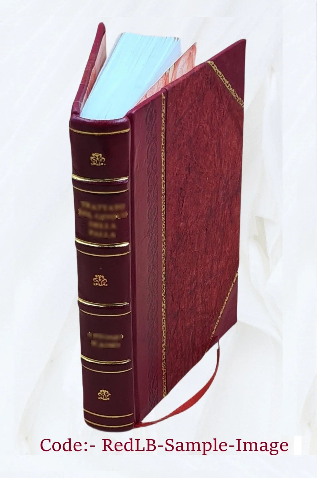 The 1883 painted churches Cyprus of Bound] [Leather