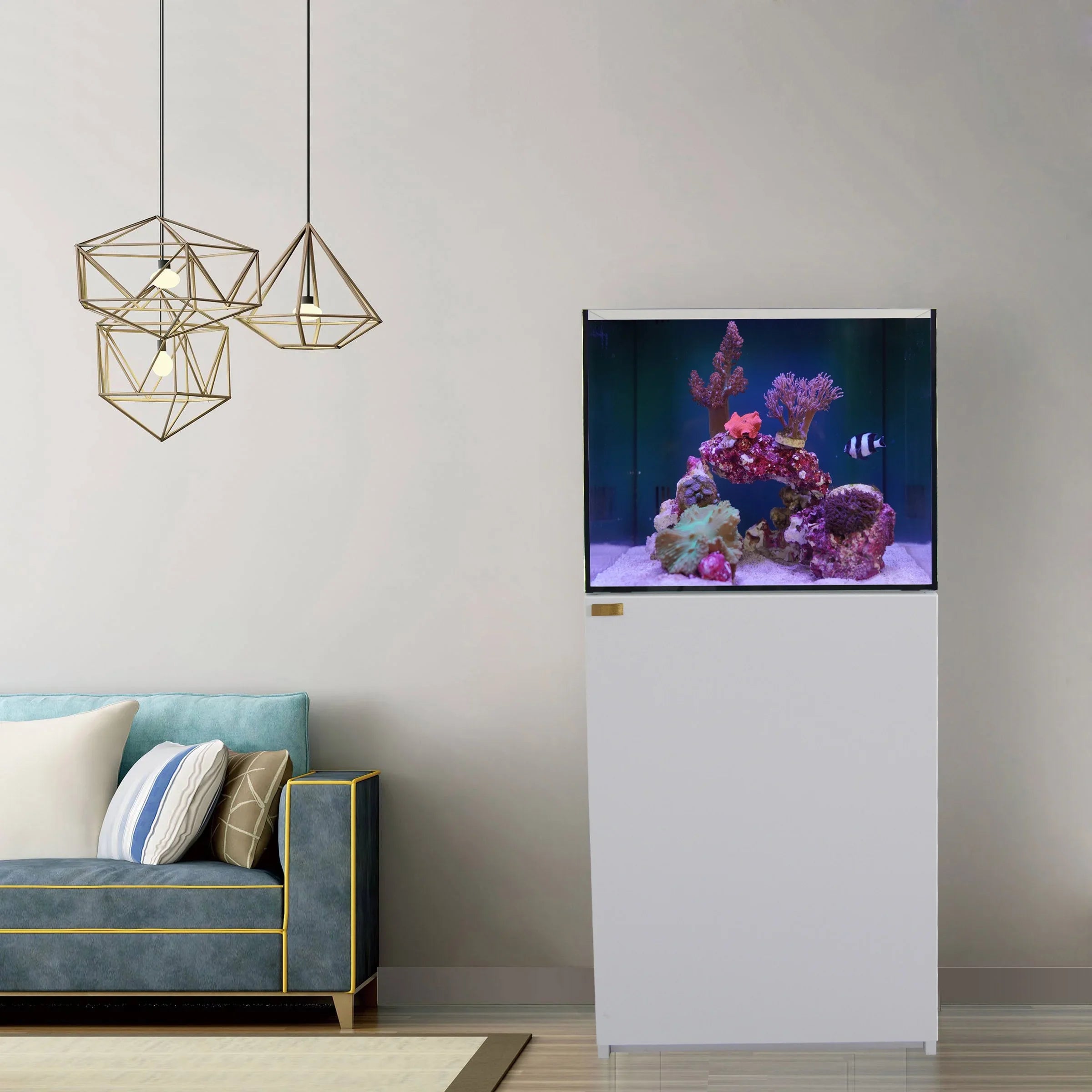 Gallon Clear Built All with Ultra AquaDream White Glass Tank Reef and Sump Coral in Aquarium 90 All-In-One