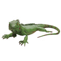 Large Life Iguana Giant Reptile XL Lizard Prop Foam Filled Size Movie Bearded Dragon Green Rubber