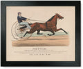 Dam, And Nettie: By Print: Star 1874 Mare, Framed American Hambletonian, Rysdyk's
