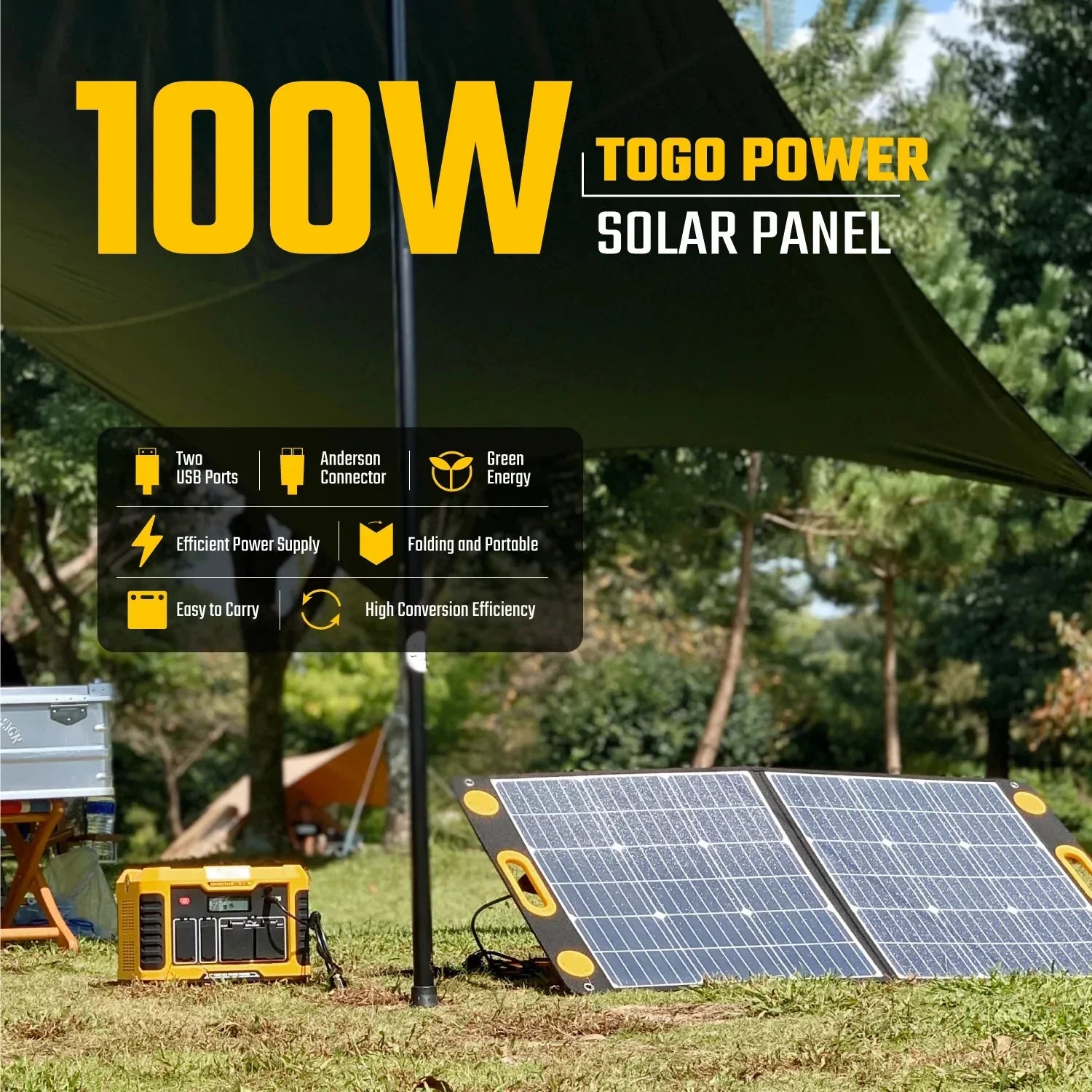 Solar TogoPower Panel 100W Advance