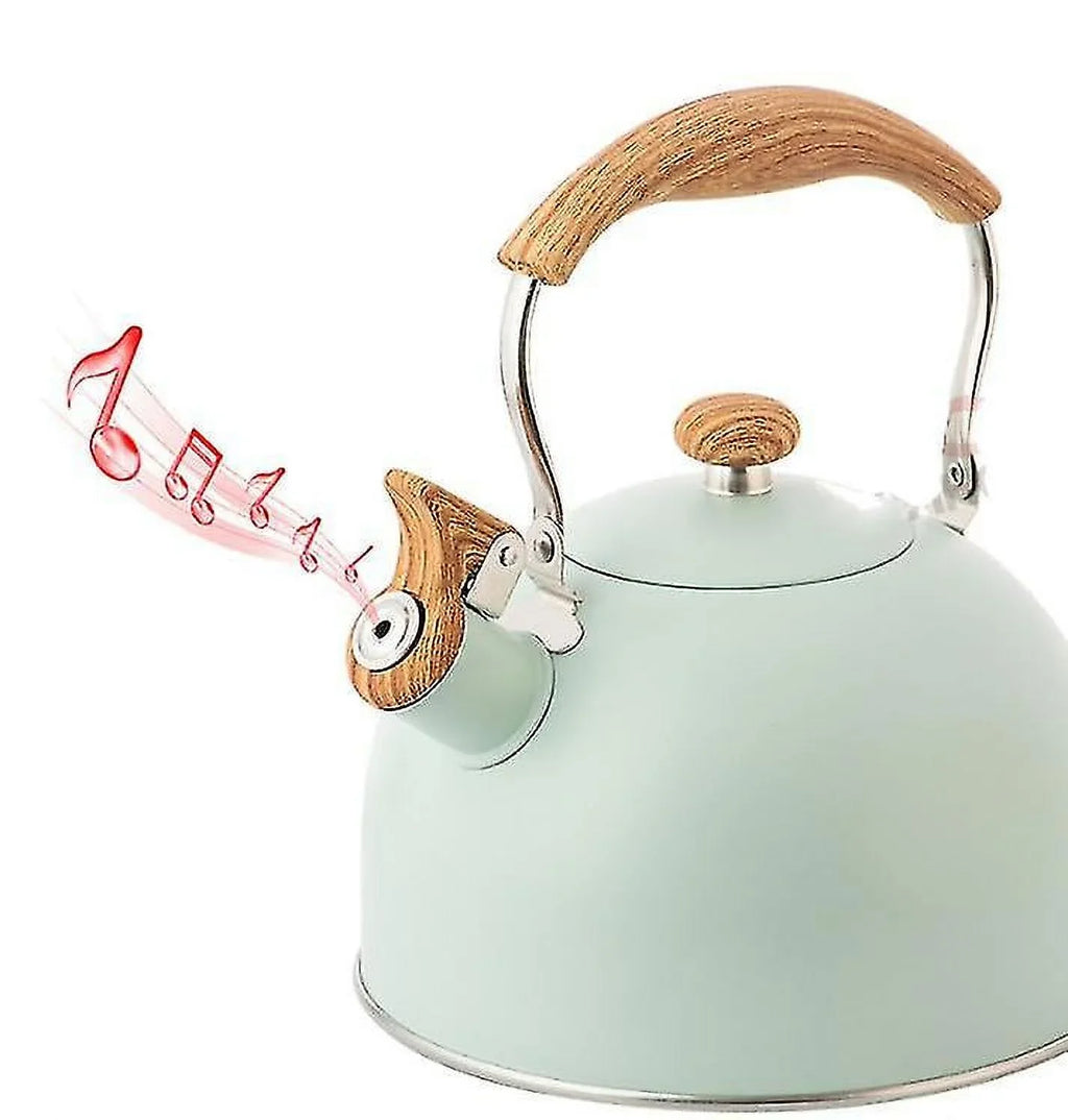 SHB Stainless Steel Liter Electric Kettle FUZHIS 2.5