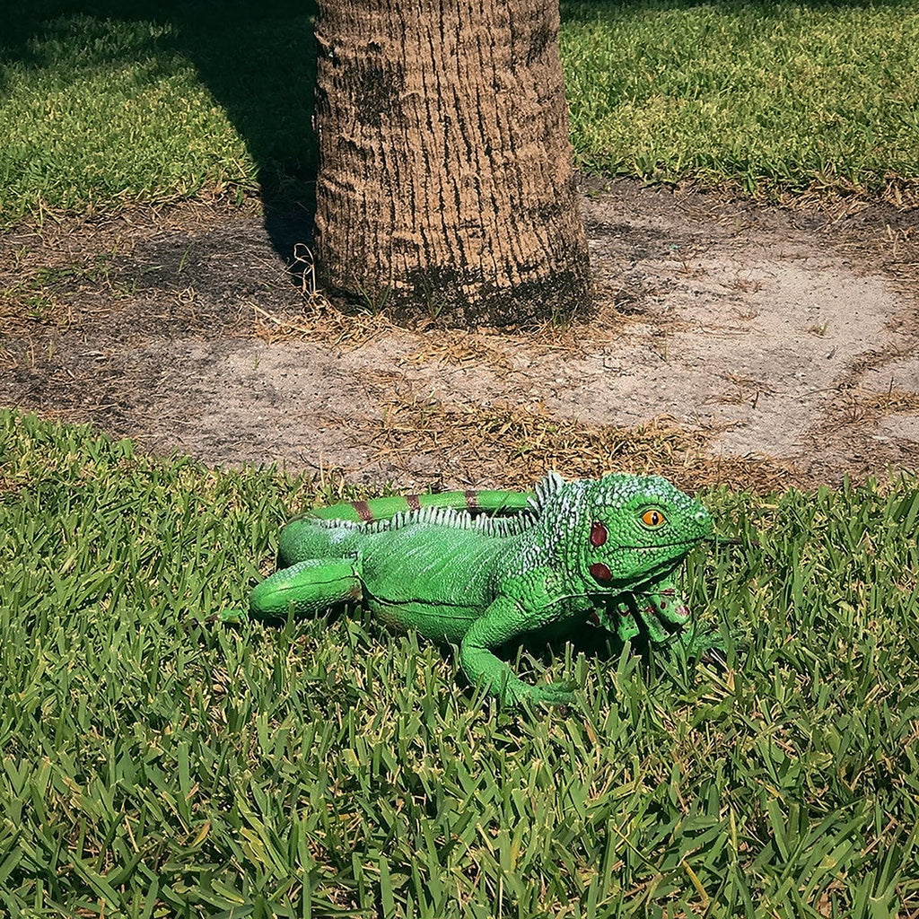 Large Life Iguana Giant Reptile XL Lizard Prop Foam Filled Size Movie Bearded Dragon Green Rubber
