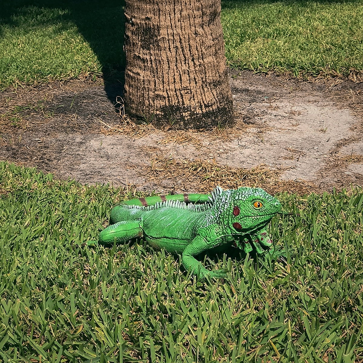 Large Life Iguana Giant Reptile XL Lizard Prop Foam Filled Size Movie Bearded Dragon Green Rubber