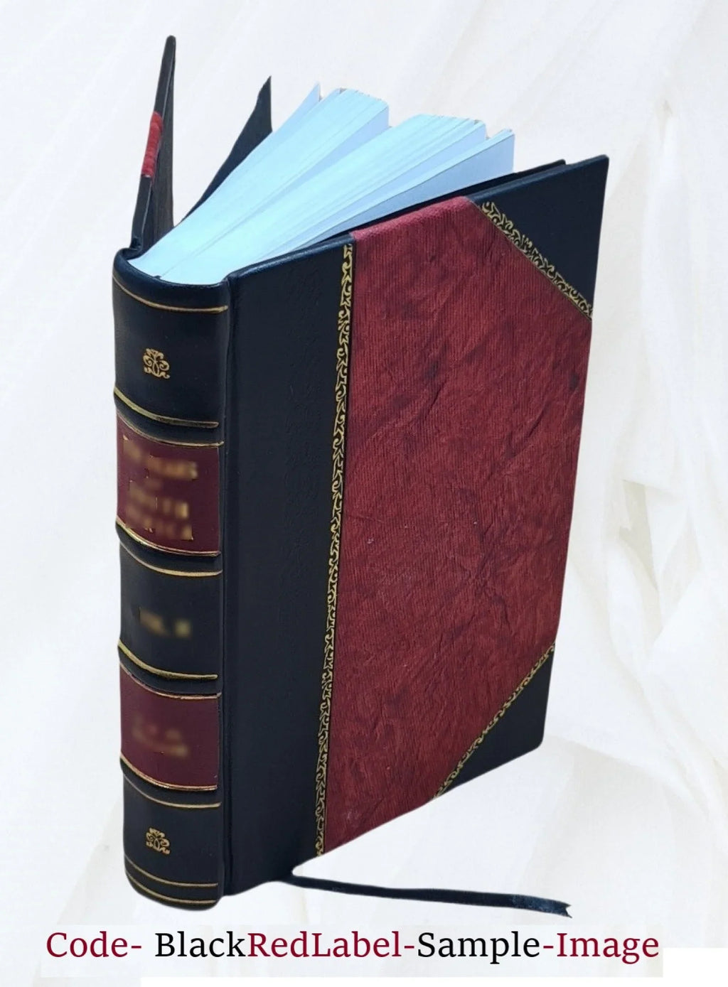 guide Black's [Leather to Loch Trossachs, Lomond, etc. Loch Katrine, 1903 the Bound]