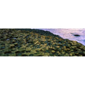 '- Basalt Causeway World Antrim Unesco Ireland Collection Co Designated Area Site The - 34 A Image by Columns x Irish Print with Poster Giants 11 Heritage
