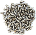 Spikes Stainless (9mm) 3/8 (Bag 100) Country inch of Track/Cross Steel