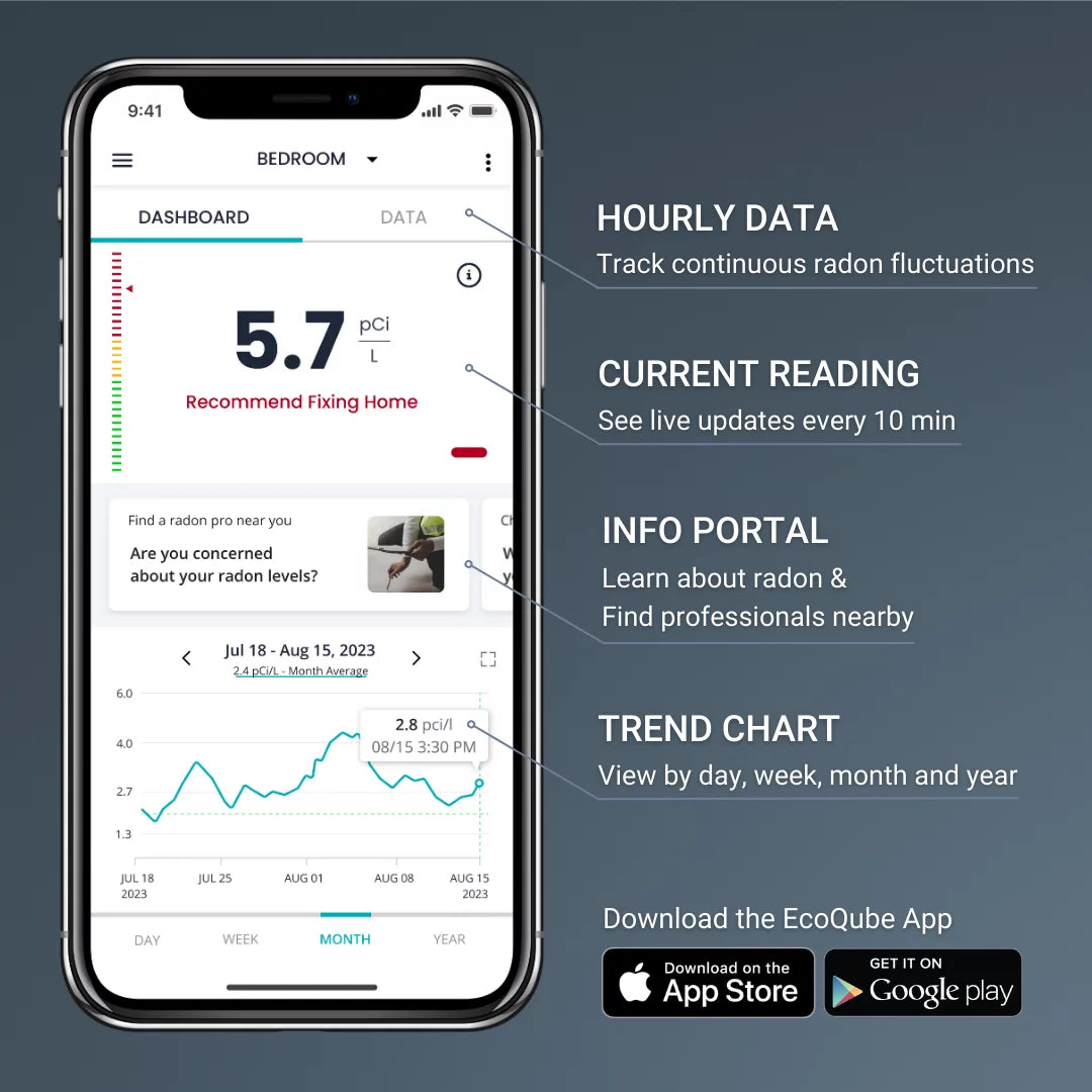 with WiFi, Ecosense Gas Model Radon W and Detector Monitor EcoQube EQ100