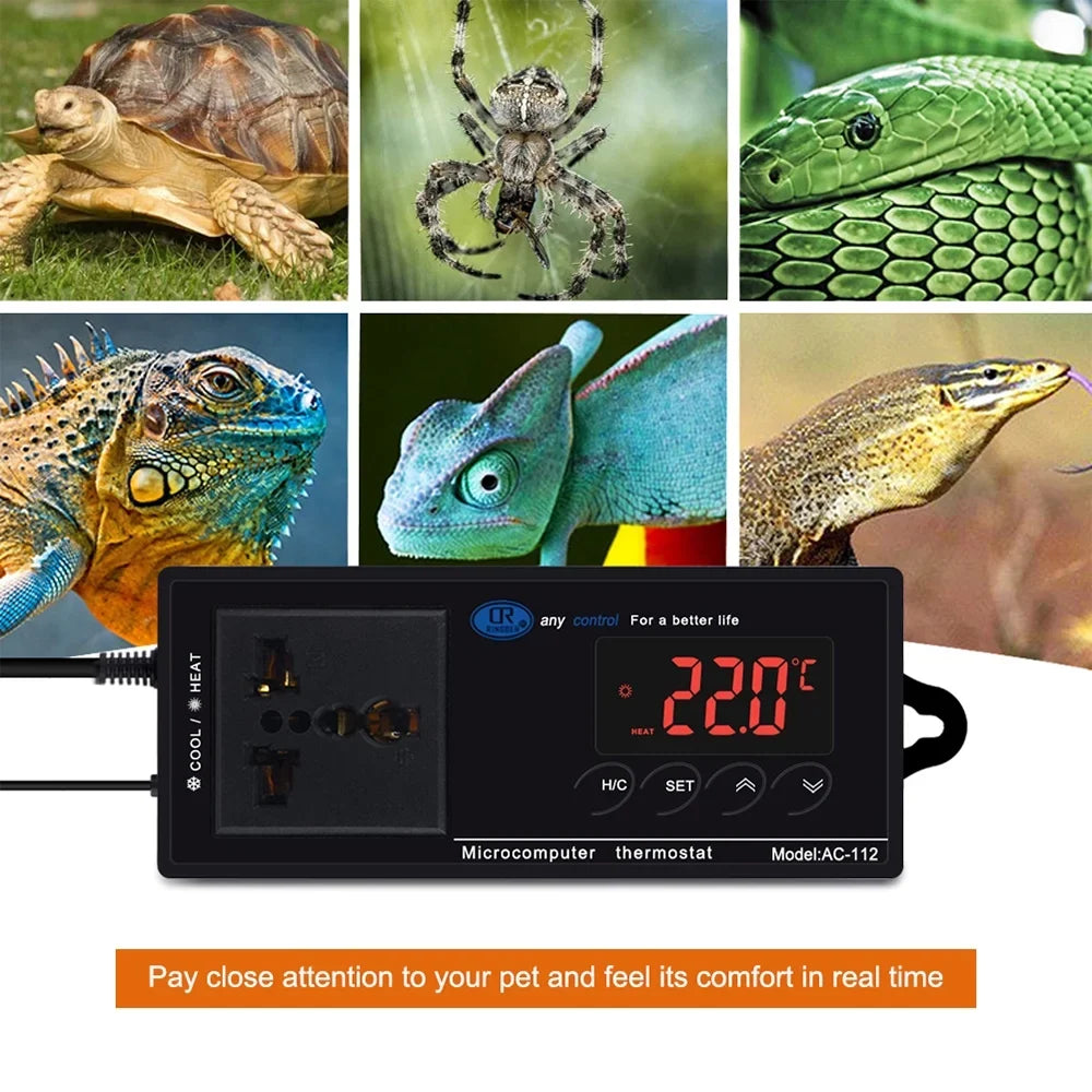 Incubation Chest Outlet House Controlled Brewing Reptiles for Cooling Reptile Freezer Digital Controller Temperature Green Mode with Thermostat & Plug -40℃~110℃ Home Heating Thermostat Lepmerk